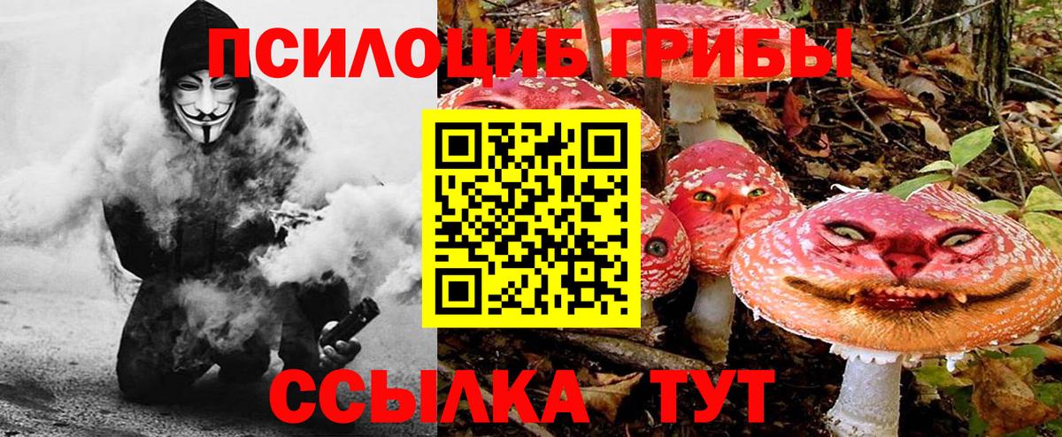Галлюциногенные грибы GOLDEN TEACHER  цены   Благовещенск  Вход с VPN 